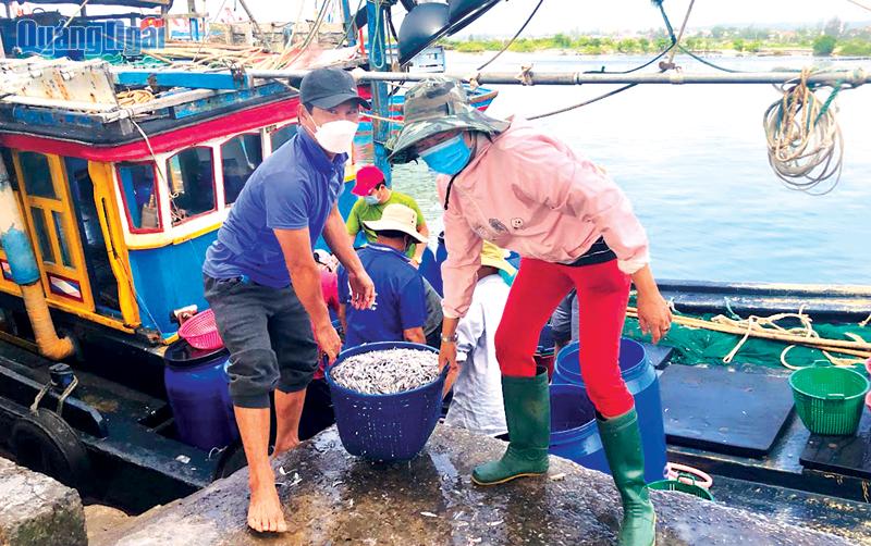 Nạo vét, thông luồng các cảng cá: Cần xã hội hóa trong kêu gọi đầu tư