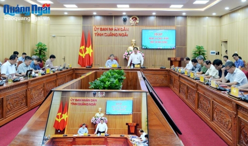 UBND tỉnh làm việc với Tập đoàn Điện lực Việt Nam