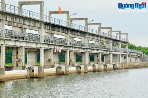 Nỗ lực ngăn mặn ở hạ lưu sông Trà Bồng