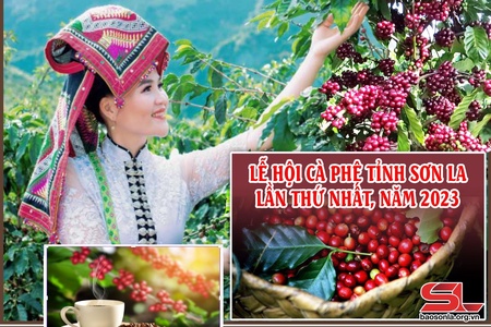 {Emagazine]. Chương trình Lễ hội Cà phê tỉnh Sơn La lần thứ nhất, năm 2023