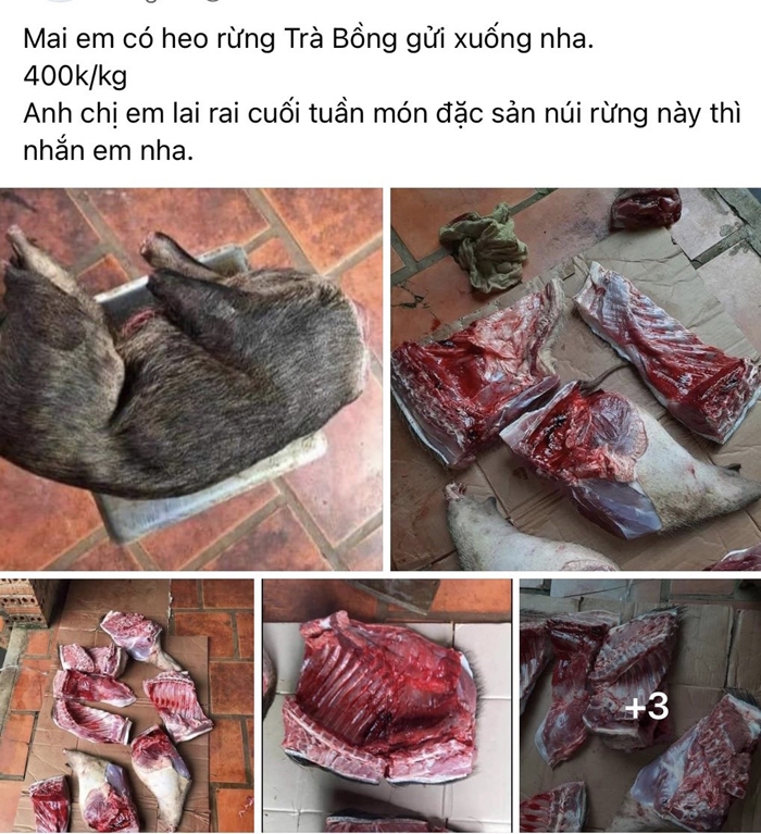 Rao bán thịt rừng tràn lan trên mạng xã hội