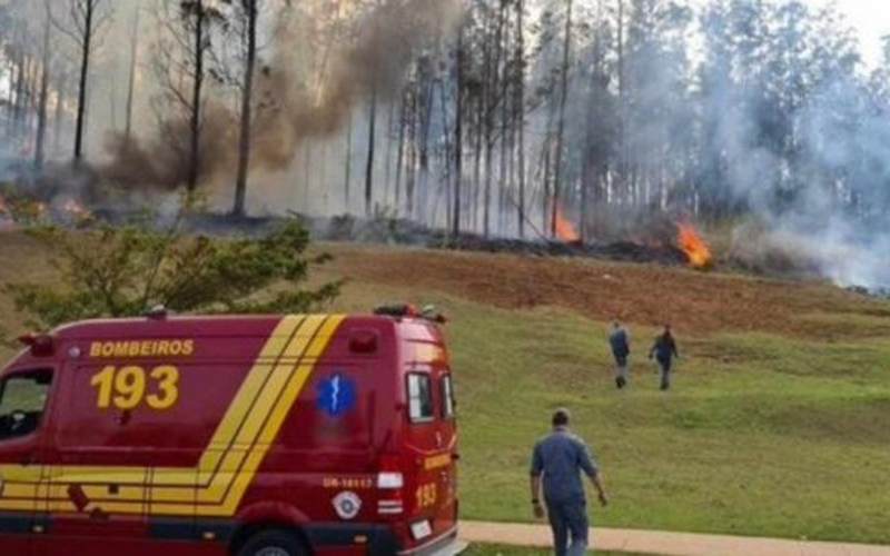 Máy bay lao xuống rừng ở Brazil, 7 người thiệt mạng