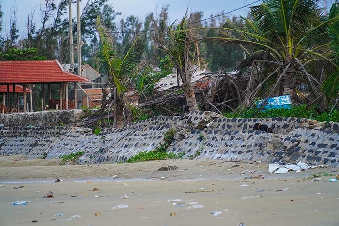 Video: Nỗi lo sạt lở bờ biển ở xã Bình Châu