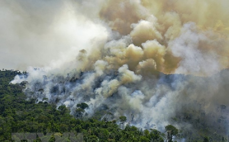 Brazil ghi nhận tháng 5 cháy rừng tồi tệ nhất trong 18 năm qua