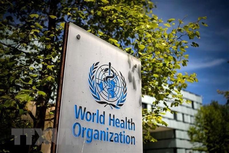 WHO tăng cường giám sát bệnh đậu mùa khỉ